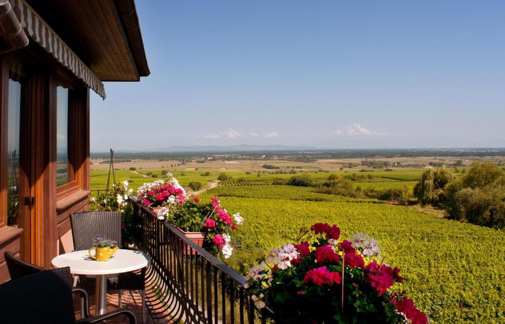 Hotel Restaurant Au Riesling Зеленберг Екстериор снимка